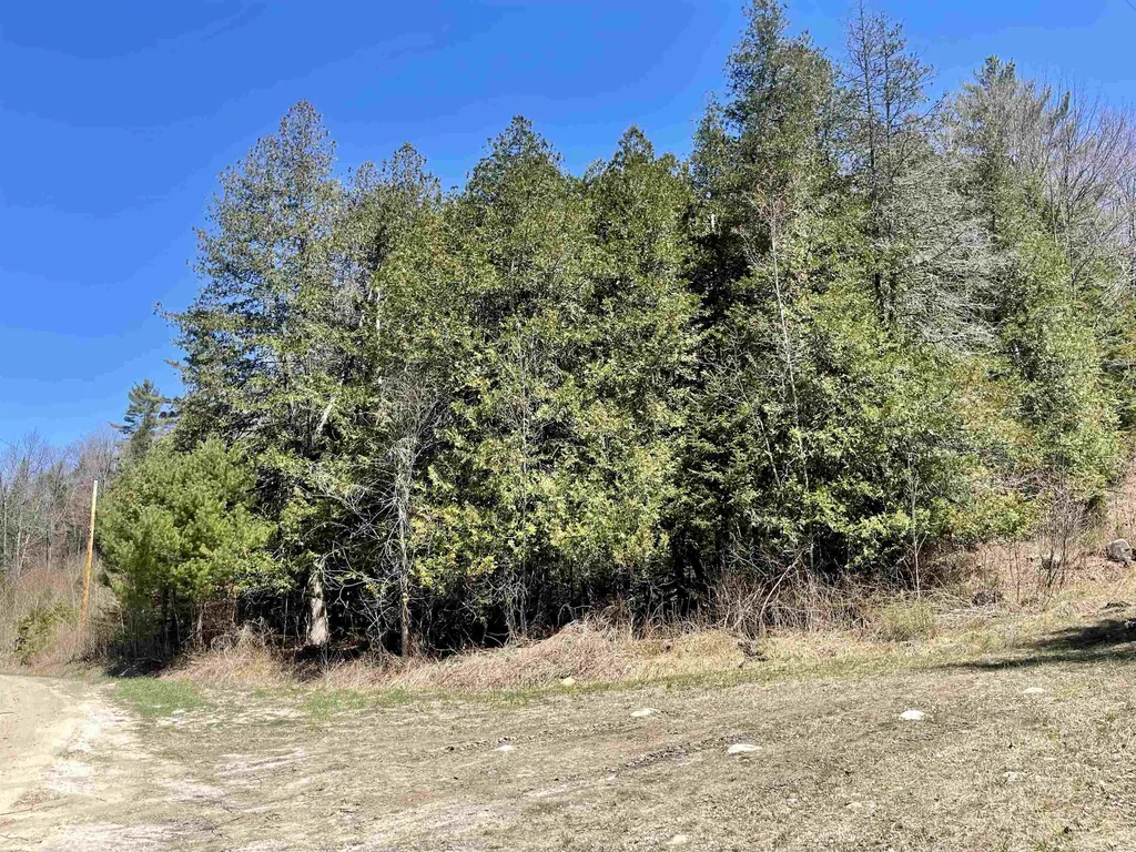 00 Branch Brook Road Groton VT 05056