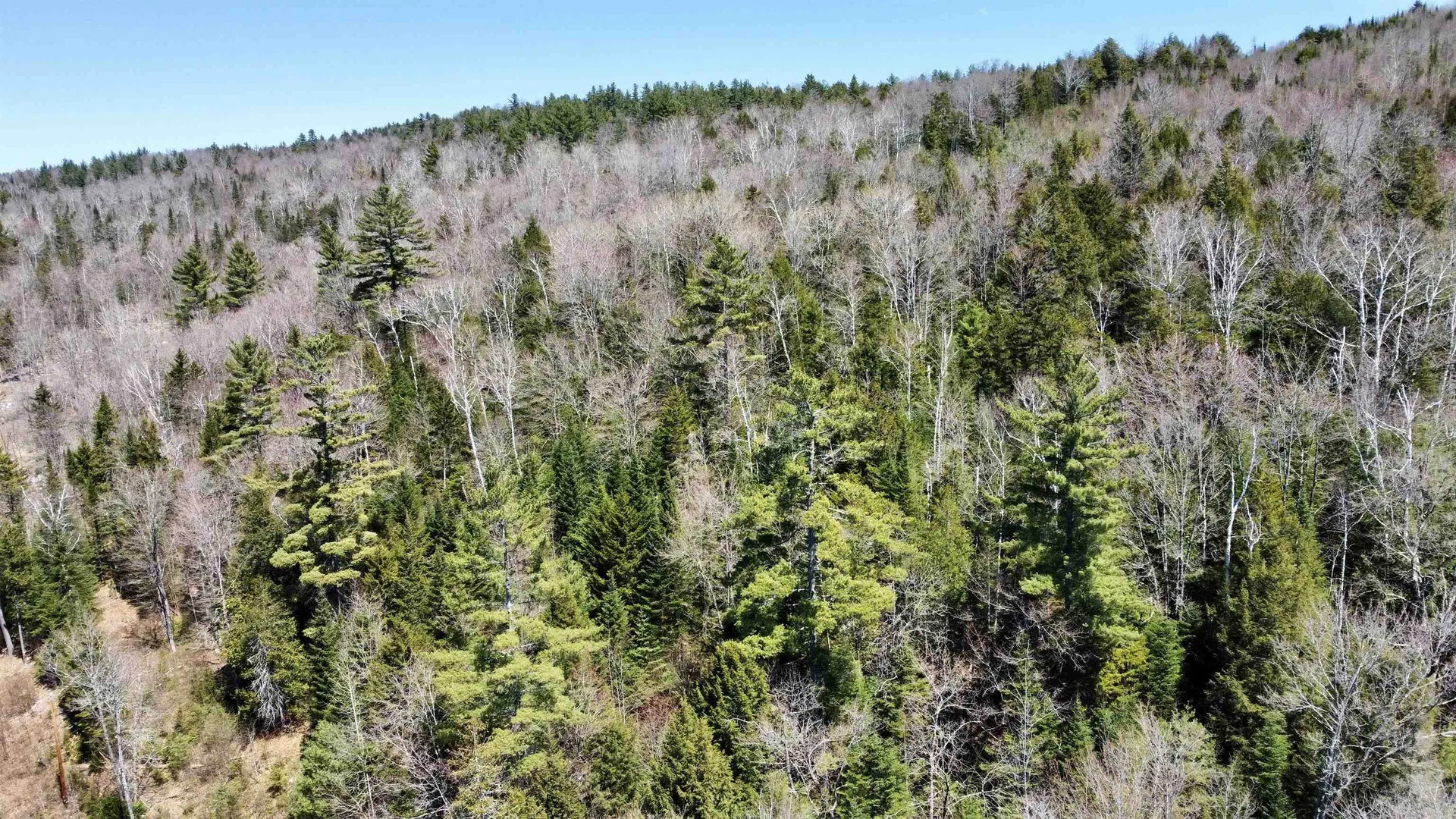 00 Branch Brook Road Groton VT 05056