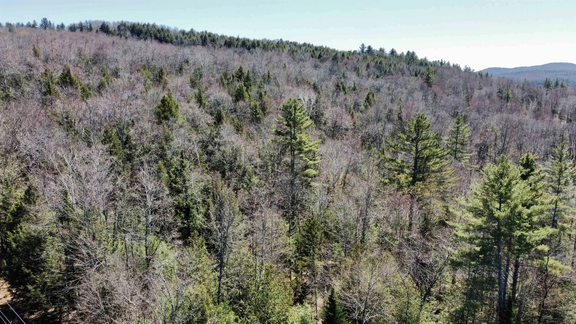 00 Branch Brook Road Groton VT 05056
