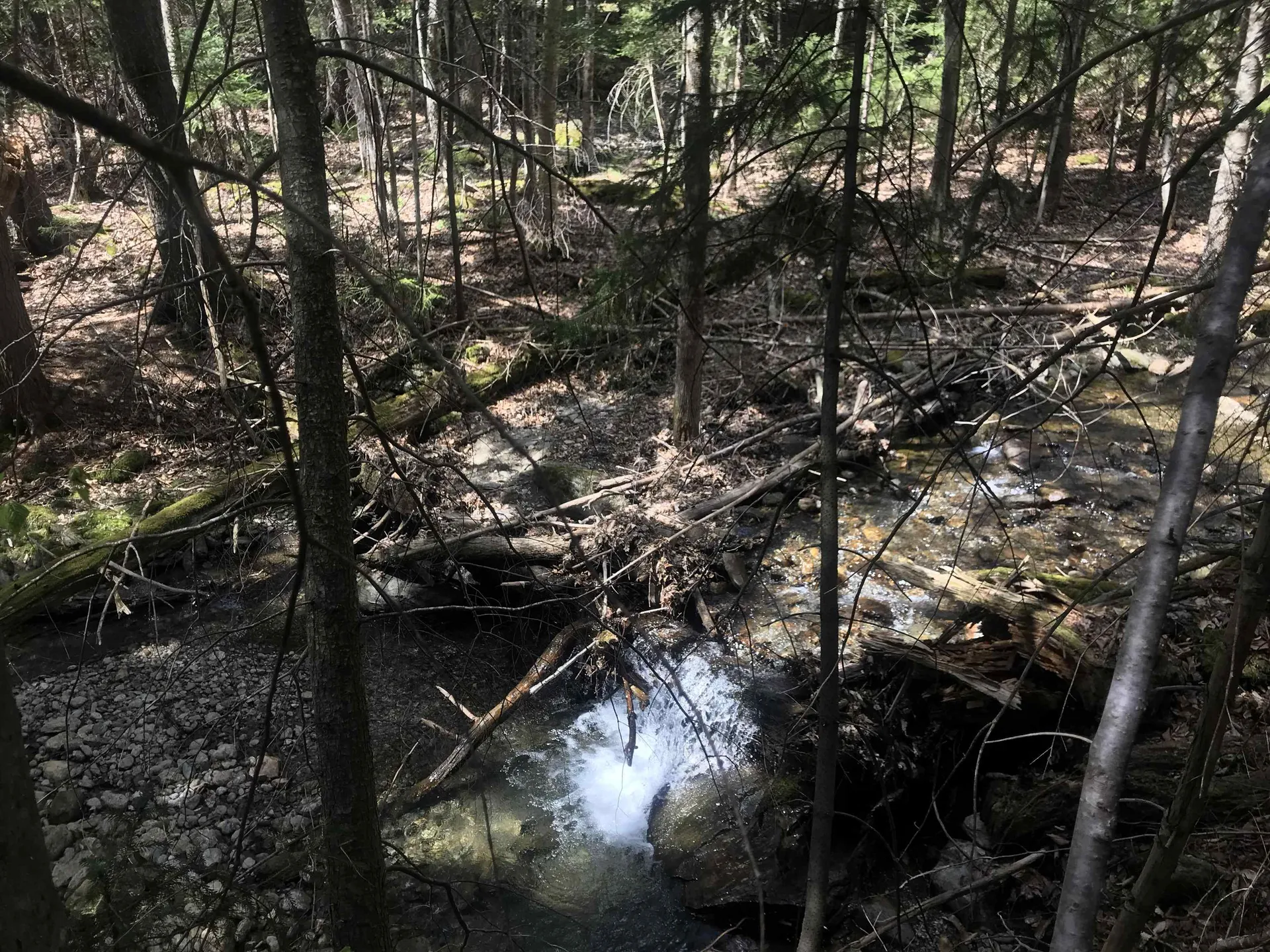 9 Greer Court Wilmington VT 05363
