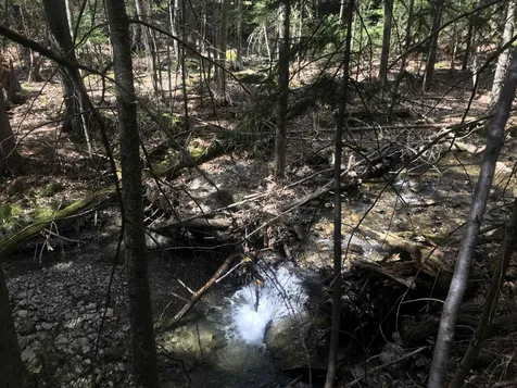 9 Greer Court Wilmington VT 05363