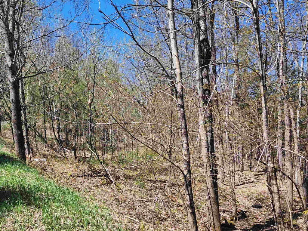 410 Leon's Lane Sharon VT 05065