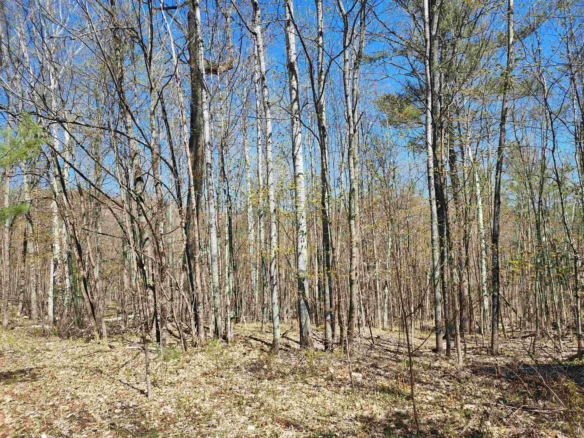 410 Leon's Lane Sharon VT 05065