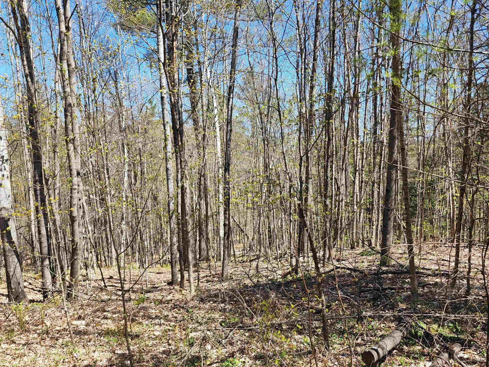 410 Leon's Lane Sharon VT 05065