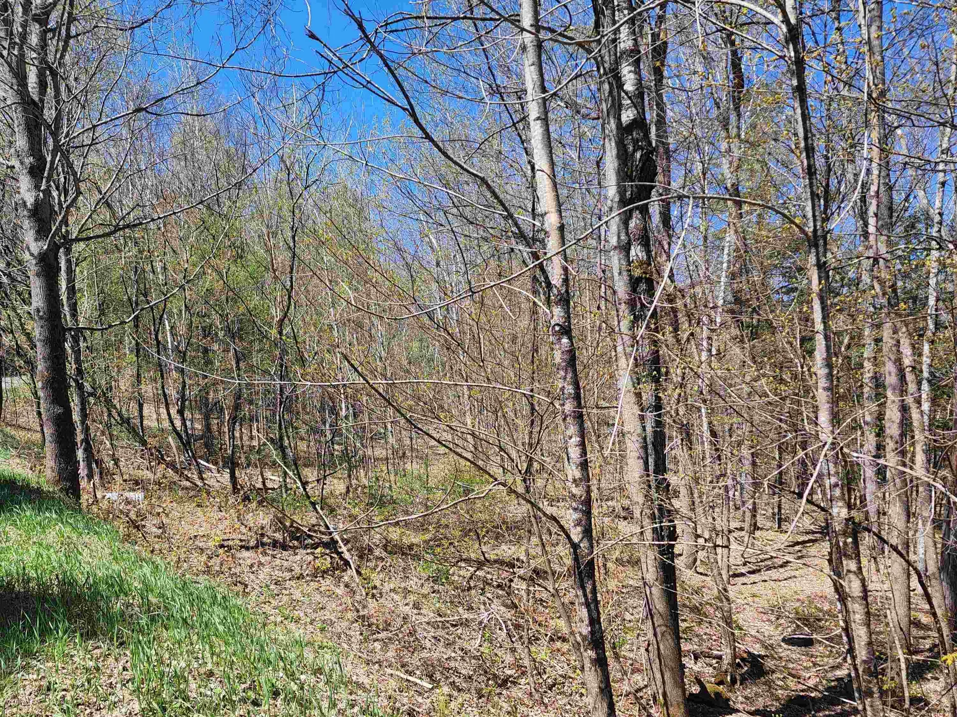 410 Leon's Lane Sharon VT 05065