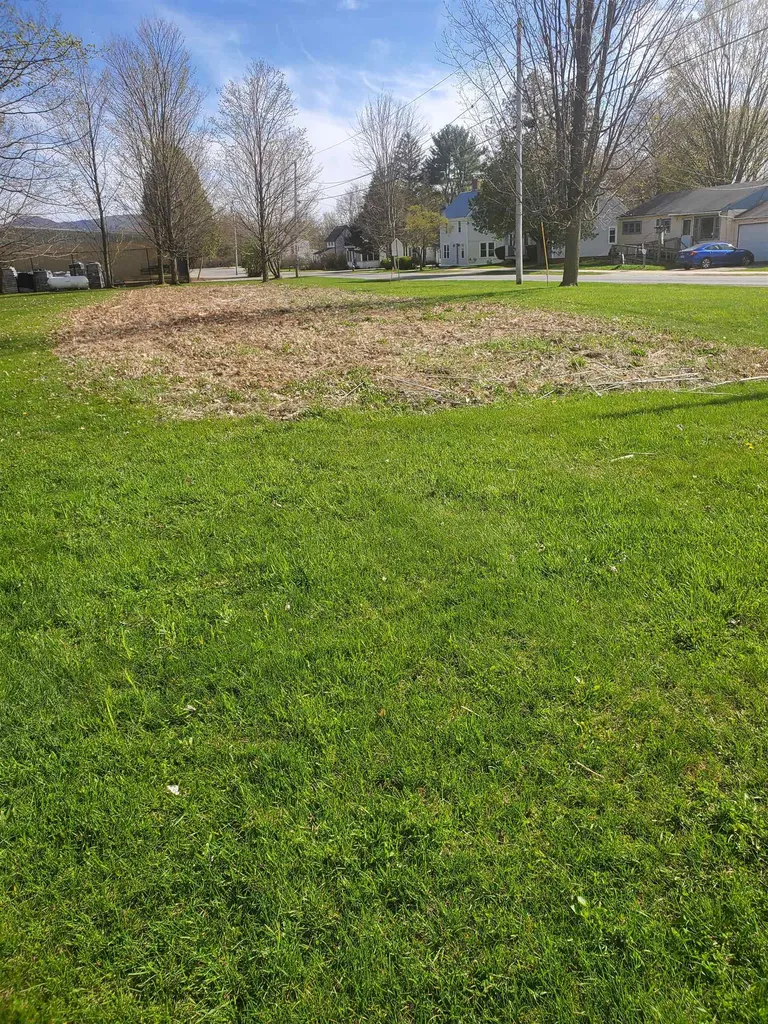 Lot 4 West Pleasant Street Bristol VT 05443
