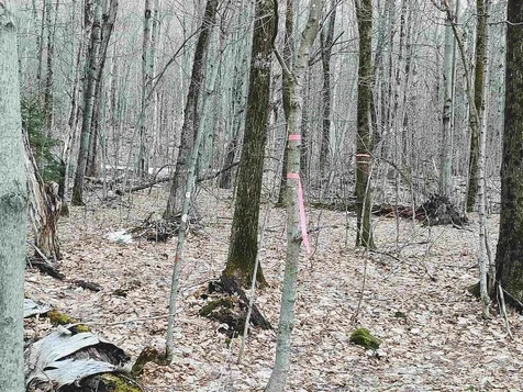 0 Flint Road Williamstown VT 05679