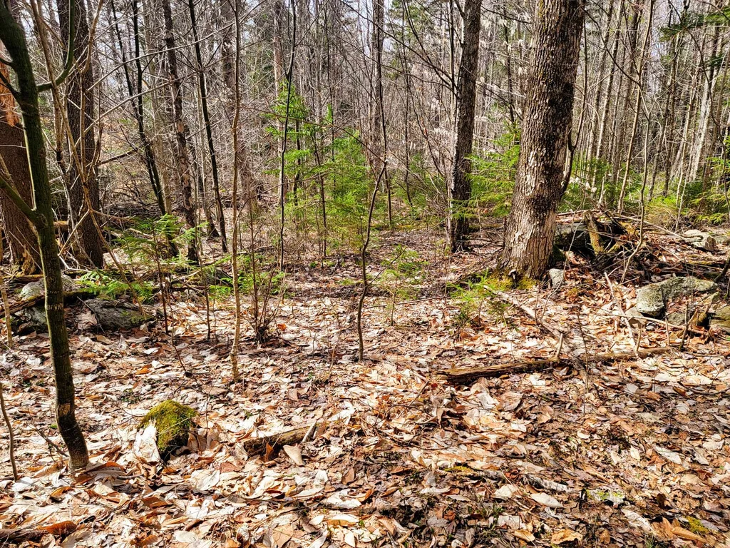 00 Notch Road Extension Trail Shrewsbury VT 05738