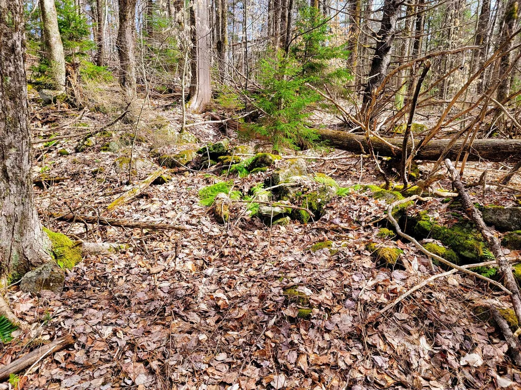 00 Notch Road Extension Trail Shrewsbury VT 05738