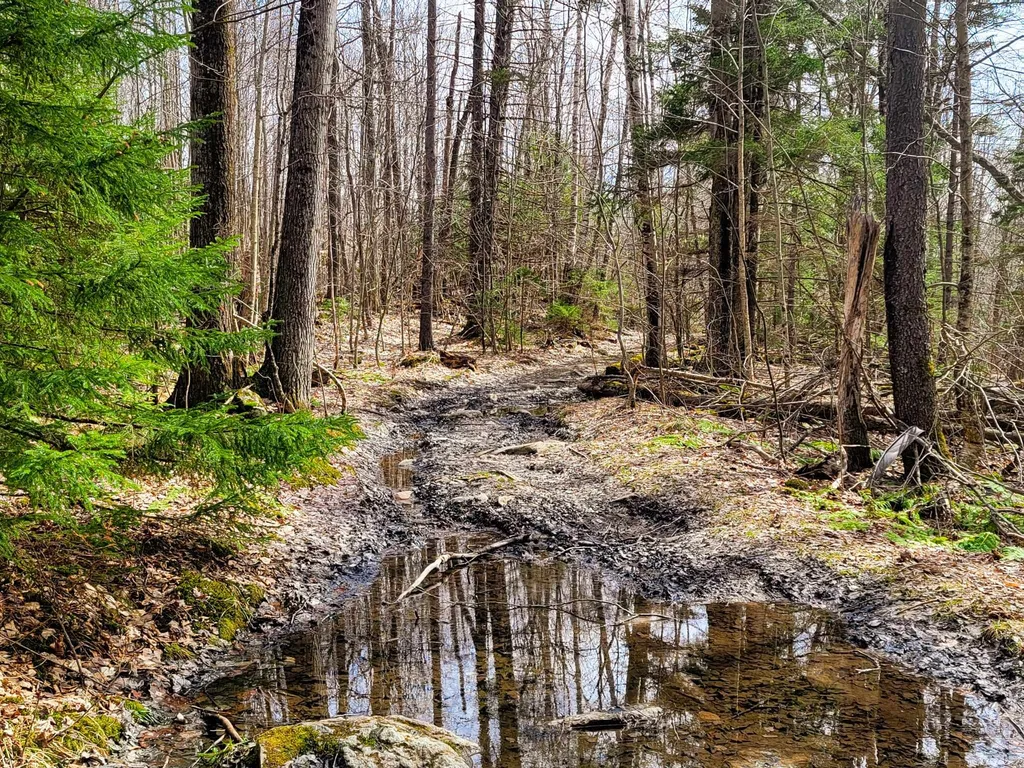 00 Notch Road Extension Trail Shrewsbury VT 05738