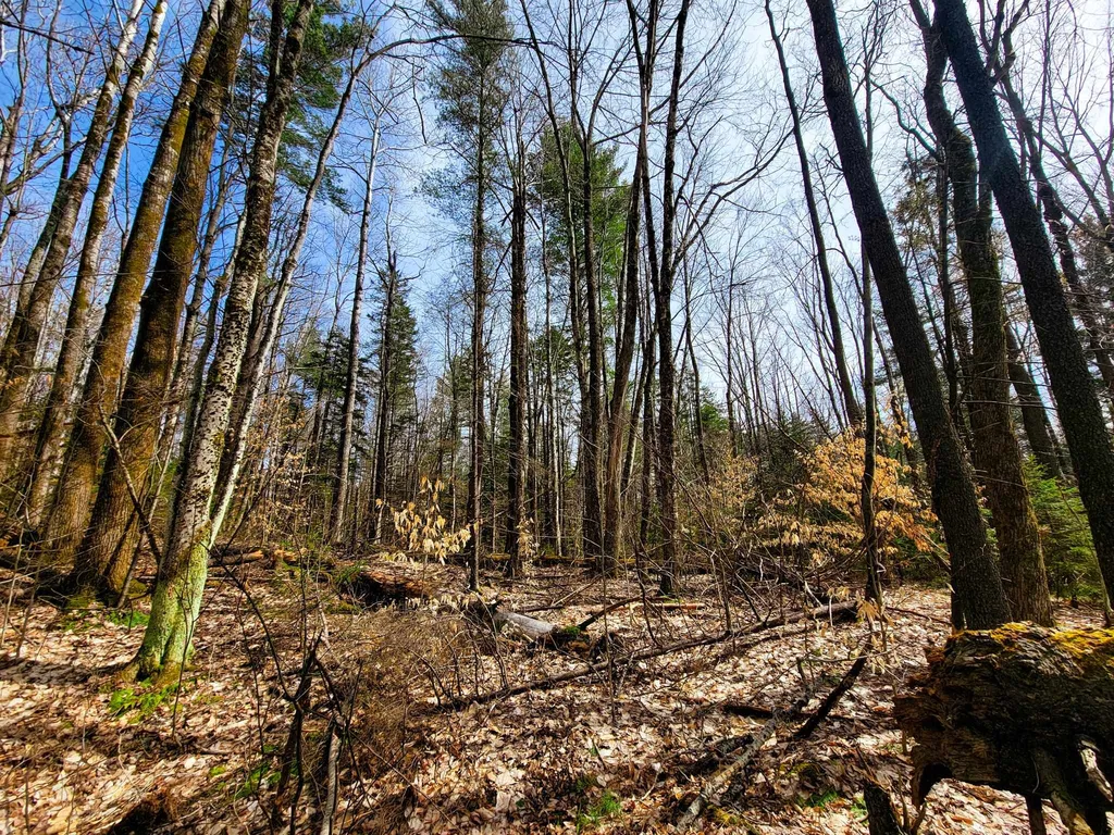 00 Notch Road Extension Trail Shrewsbury VT 05738