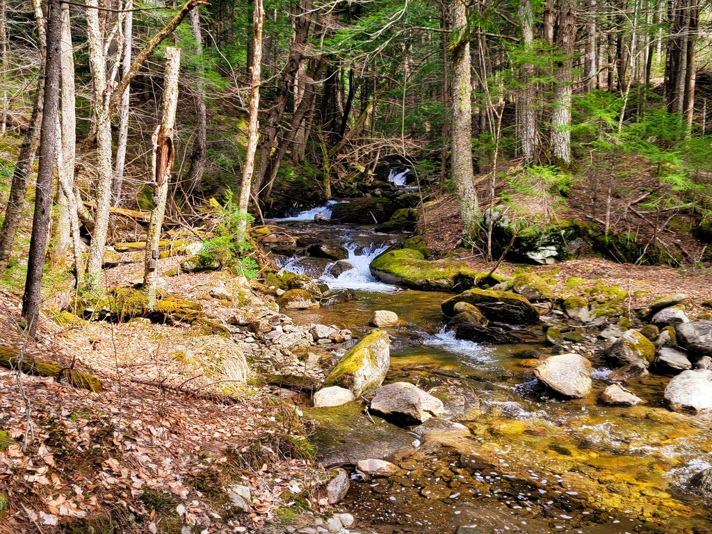 00 Notch Road Extension Trail Shrewsbury VT 05738