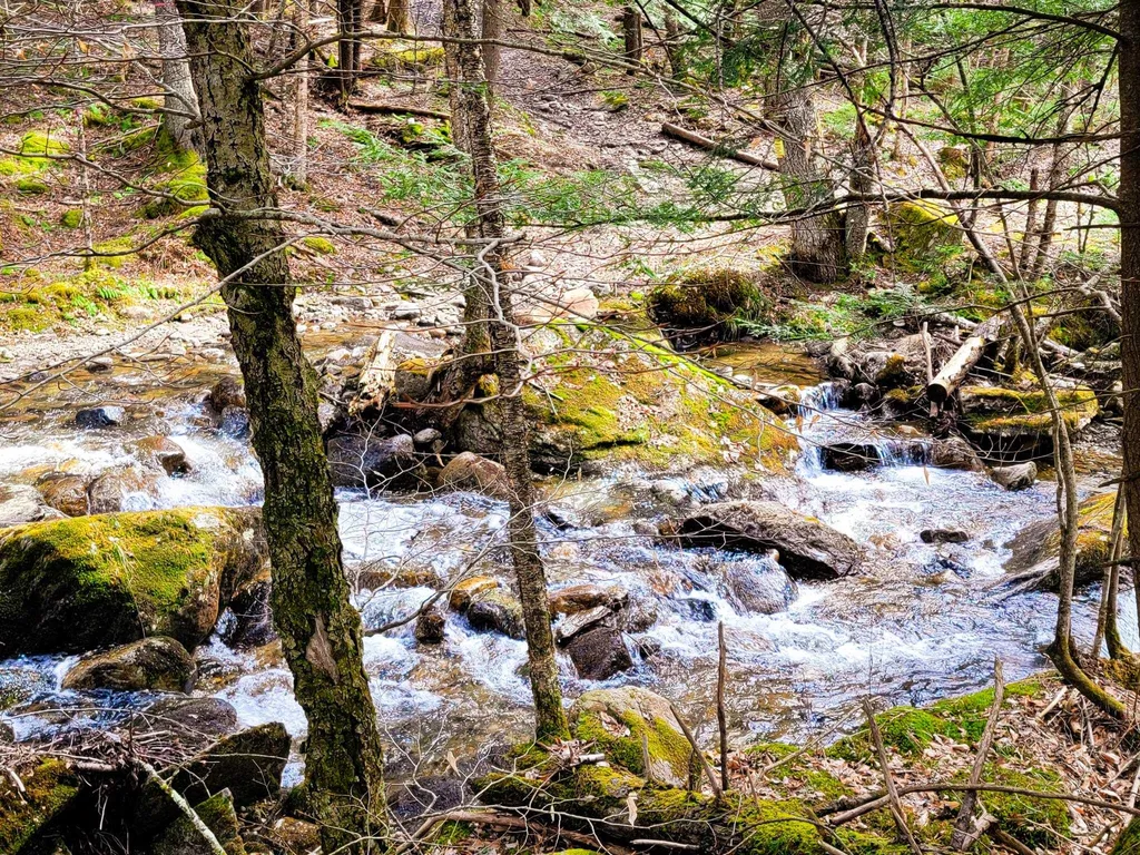 00 Notch Road Extension Trail Shrewsbury VT 05738