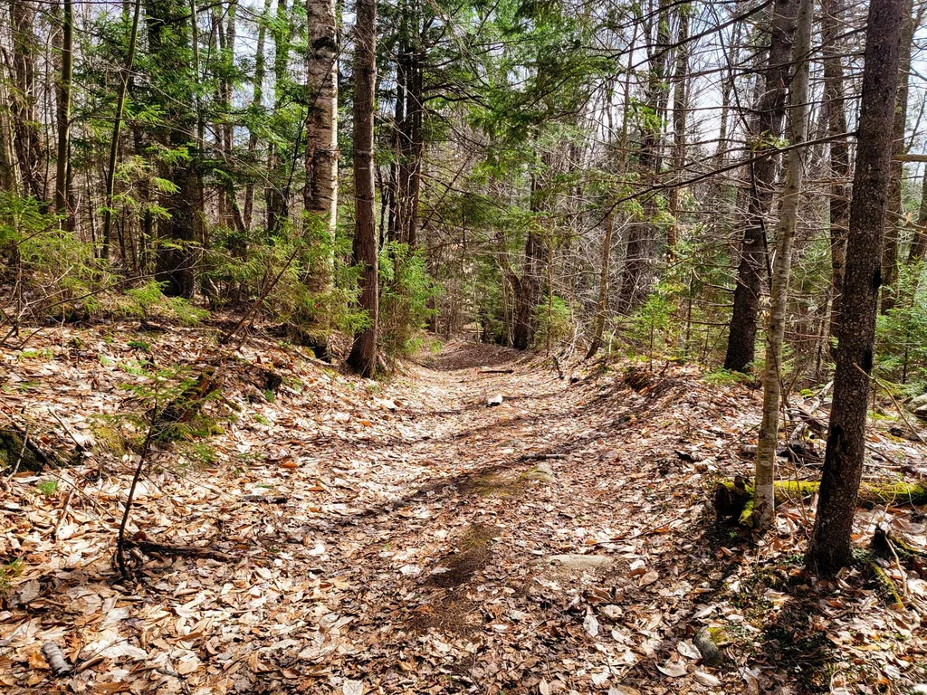 00 Notch Road Extension Trail Shrewsbury VT 05738