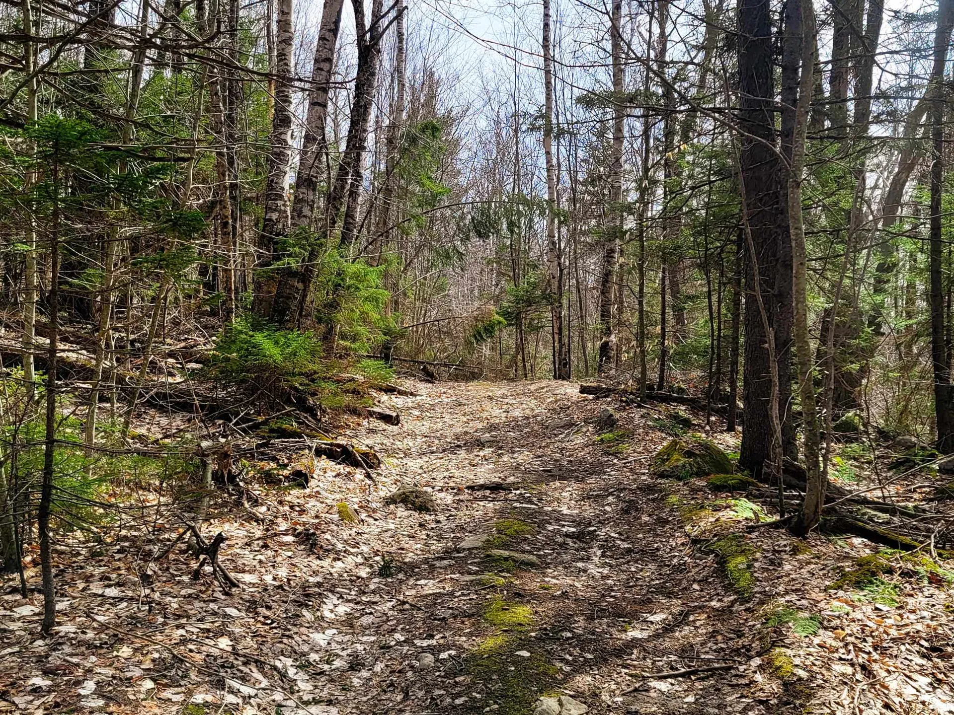 00 Notch Road Extension Trail Shrewsbury VT 05738