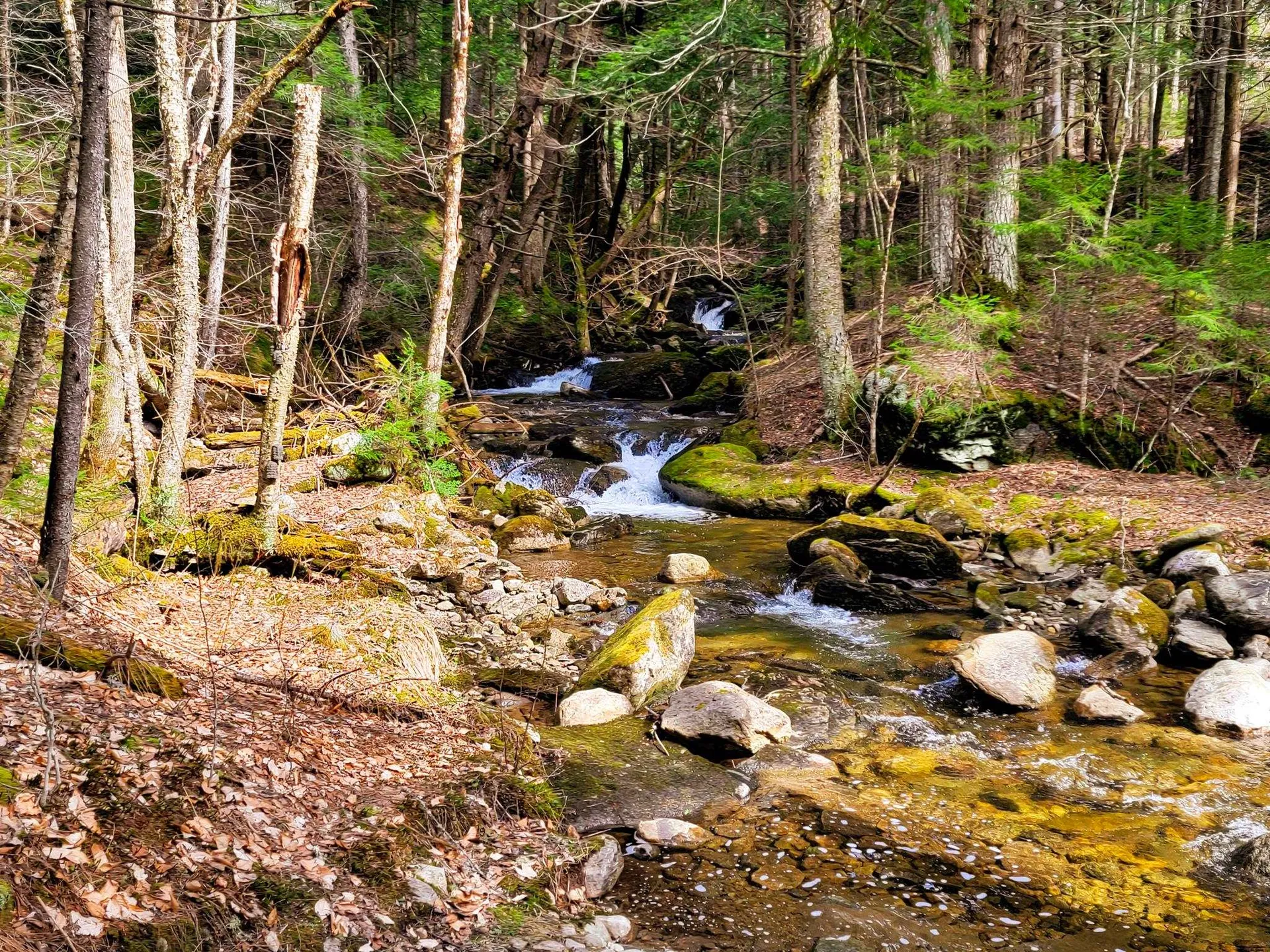 00 Notch Road Extension Trail Shrewsbury VT 05738