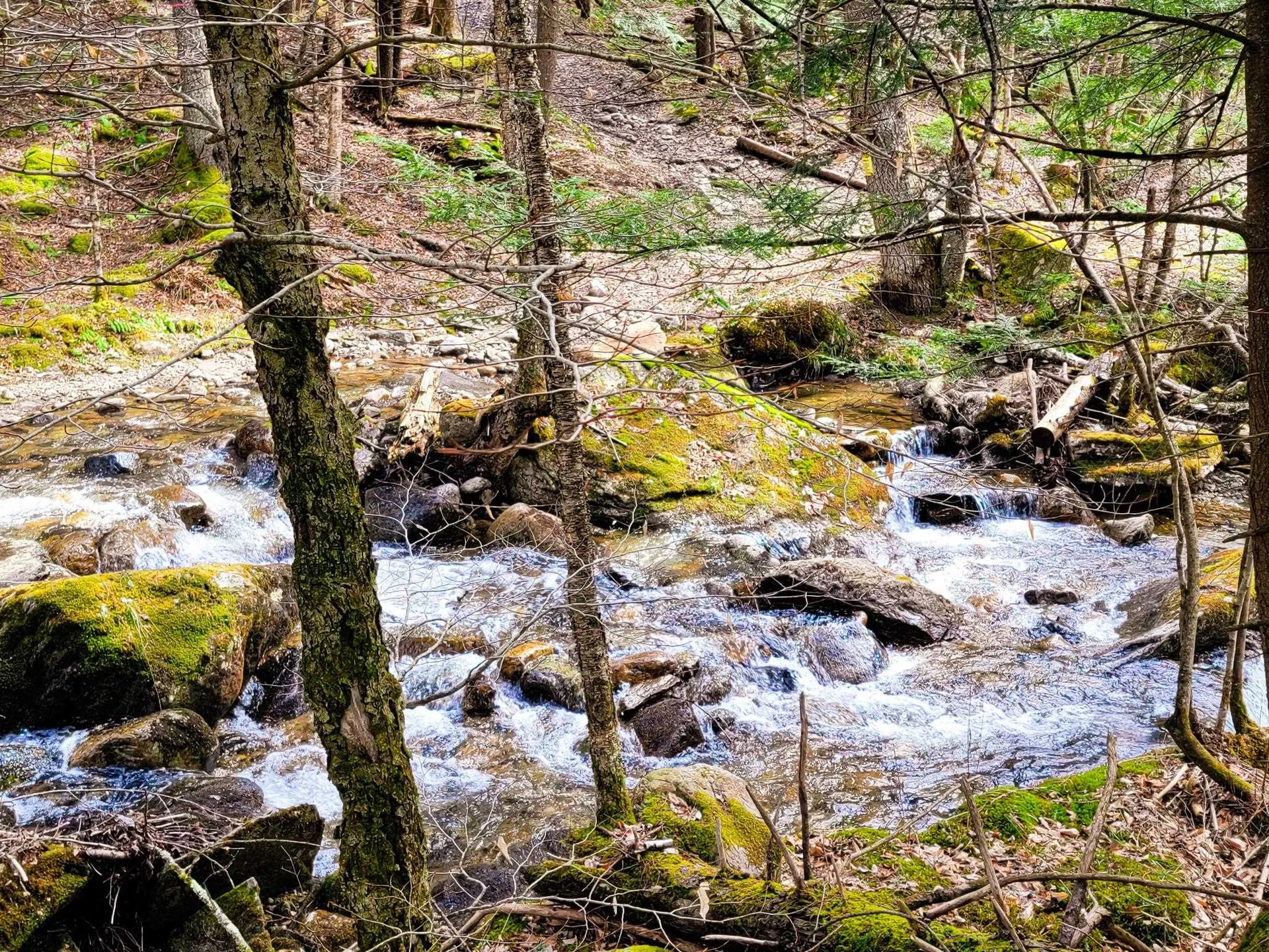 00 Notch Road Extension Trail Shrewsbury VT 05738