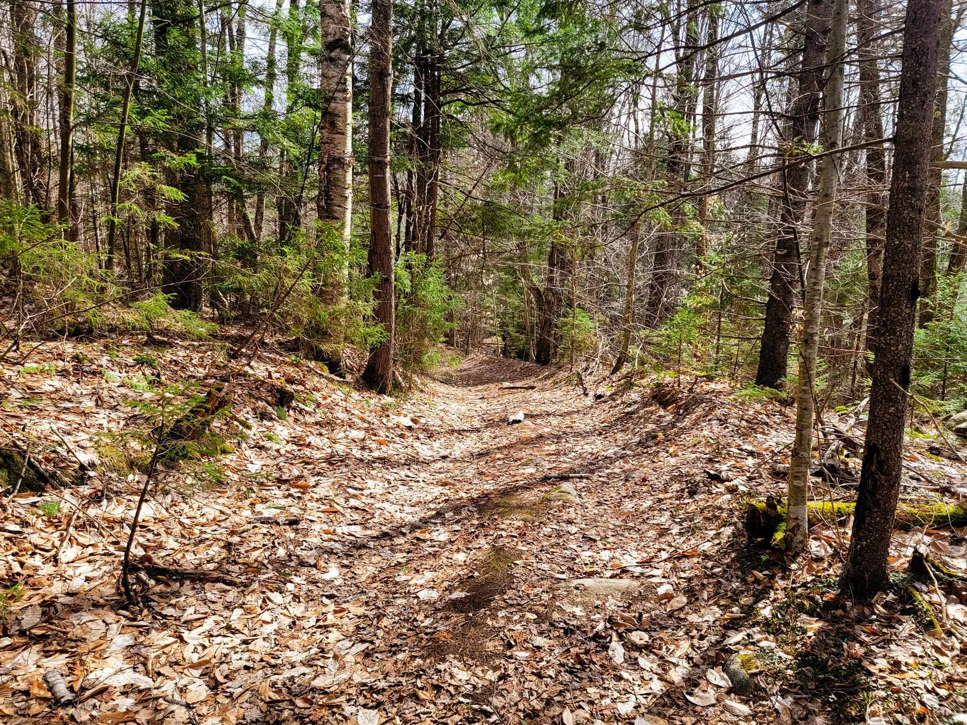 00 Notch Road Extension Trail Shrewsbury VT 05738