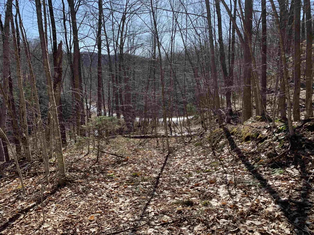 0000 Stone Chimney Road Reading VT 05062