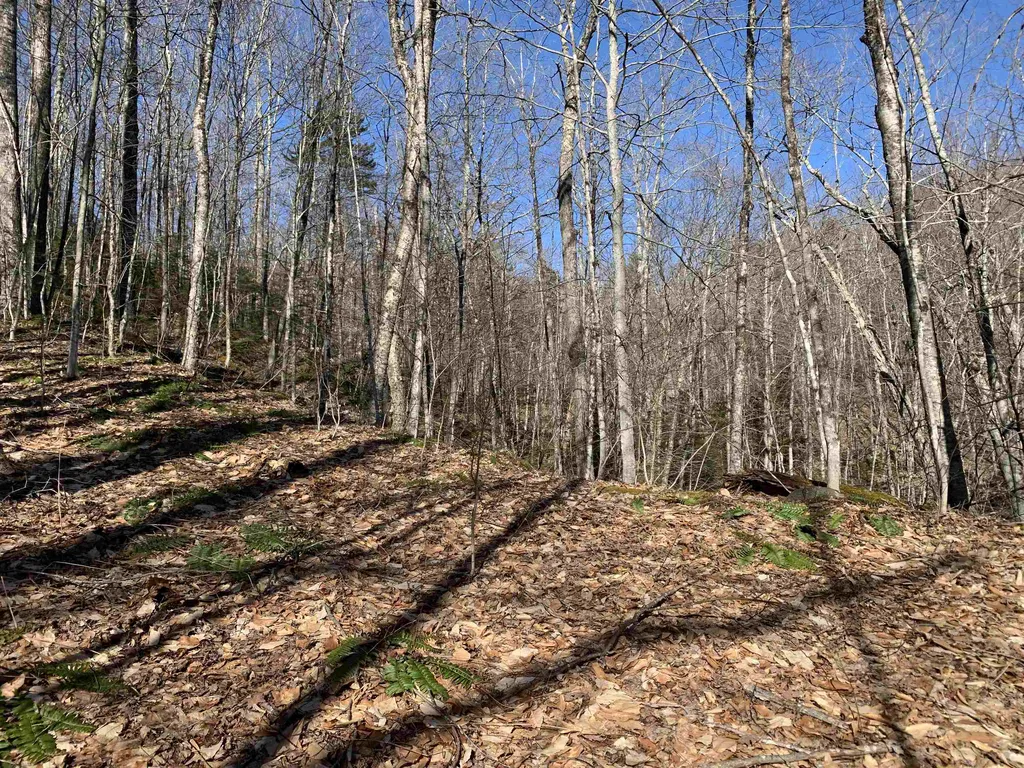 0000 Stone Chimney Road Reading VT 05062