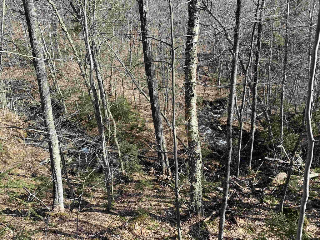 0000 Stone Chimney Road Reading VT 05062