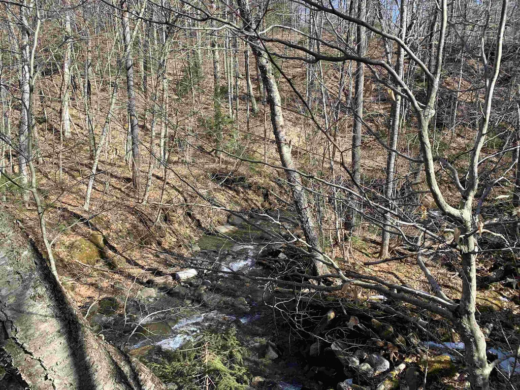 0000 Stone Chimney Road Reading VT 05062