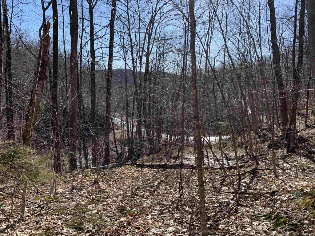 0000 Stone Chimney Road Reading VT 05062