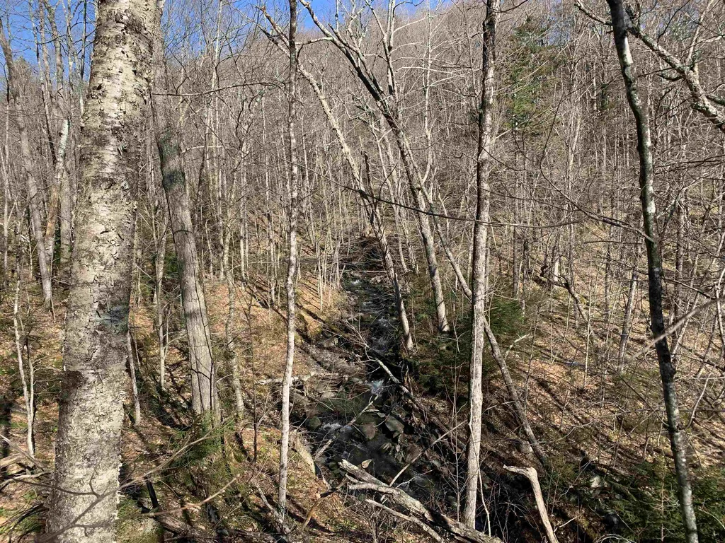0000 Stone Chimney Road Reading VT 05062