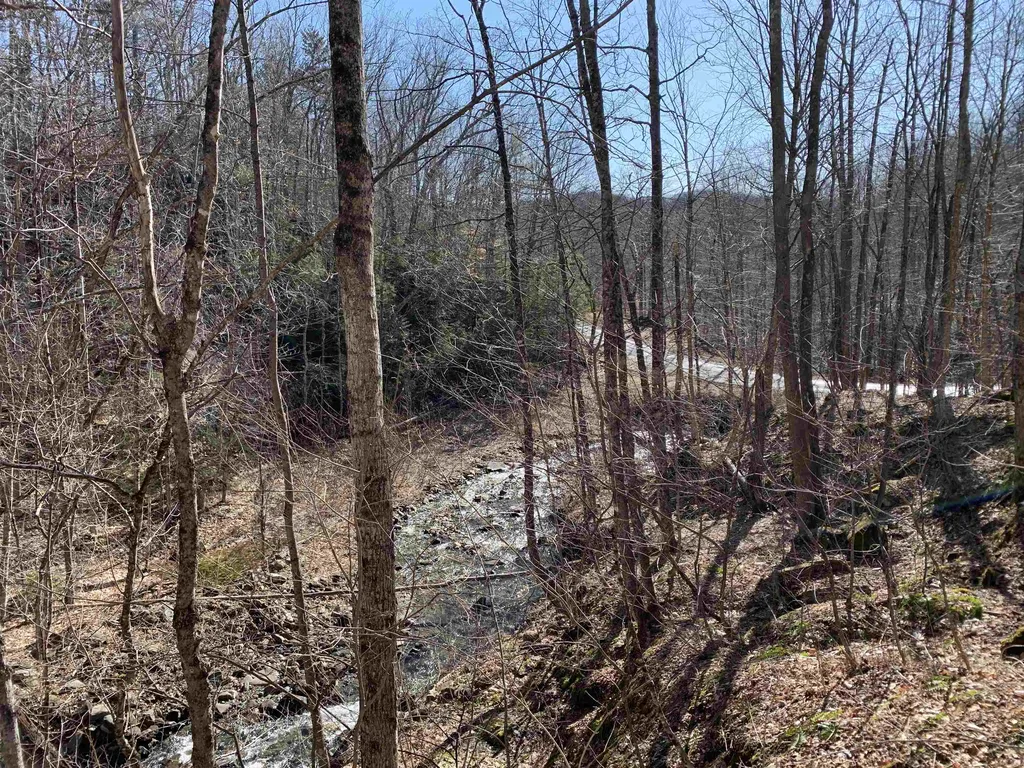 0000 Stone Chimney Road Reading VT 05062