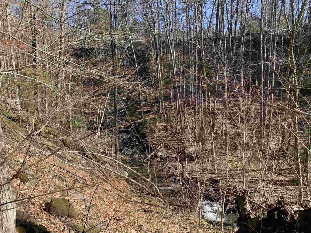 0000 Stone Chimney Road Reading VT 05062