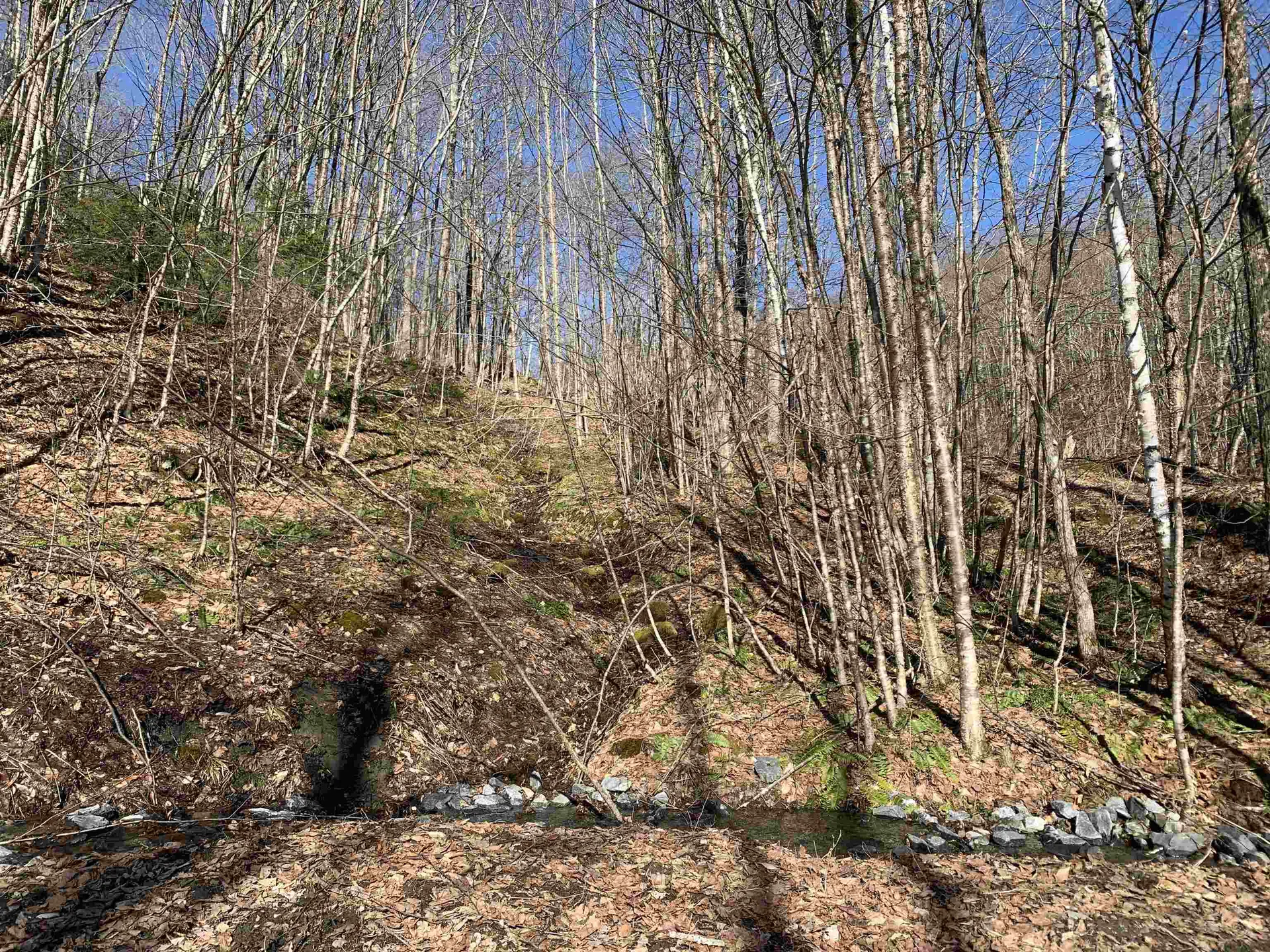 0000 Stone Chimney Road Reading VT 05062