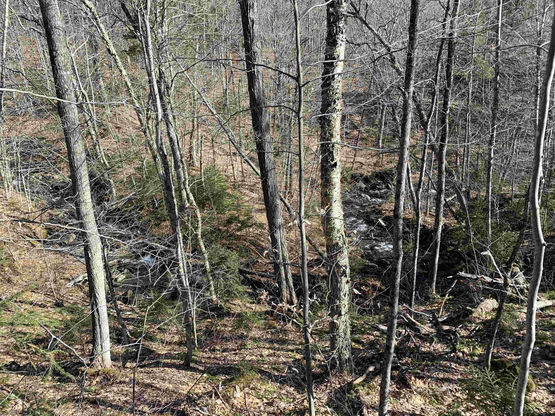 0000 Stone Chimney Road Reading VT 05062