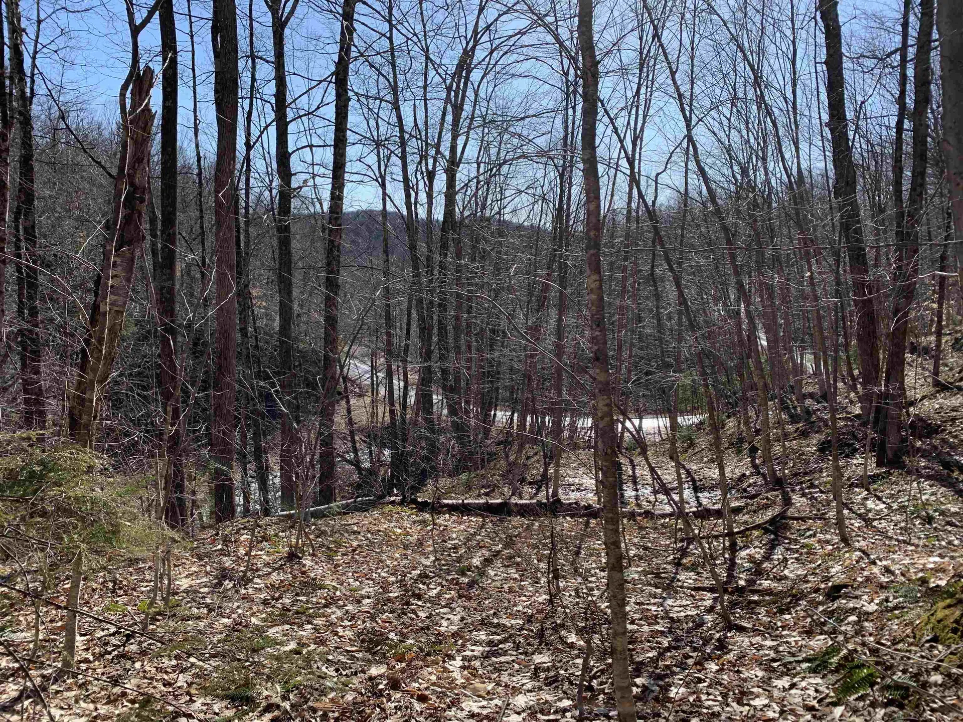 0000 Stone Chimney Road Reading VT 05062