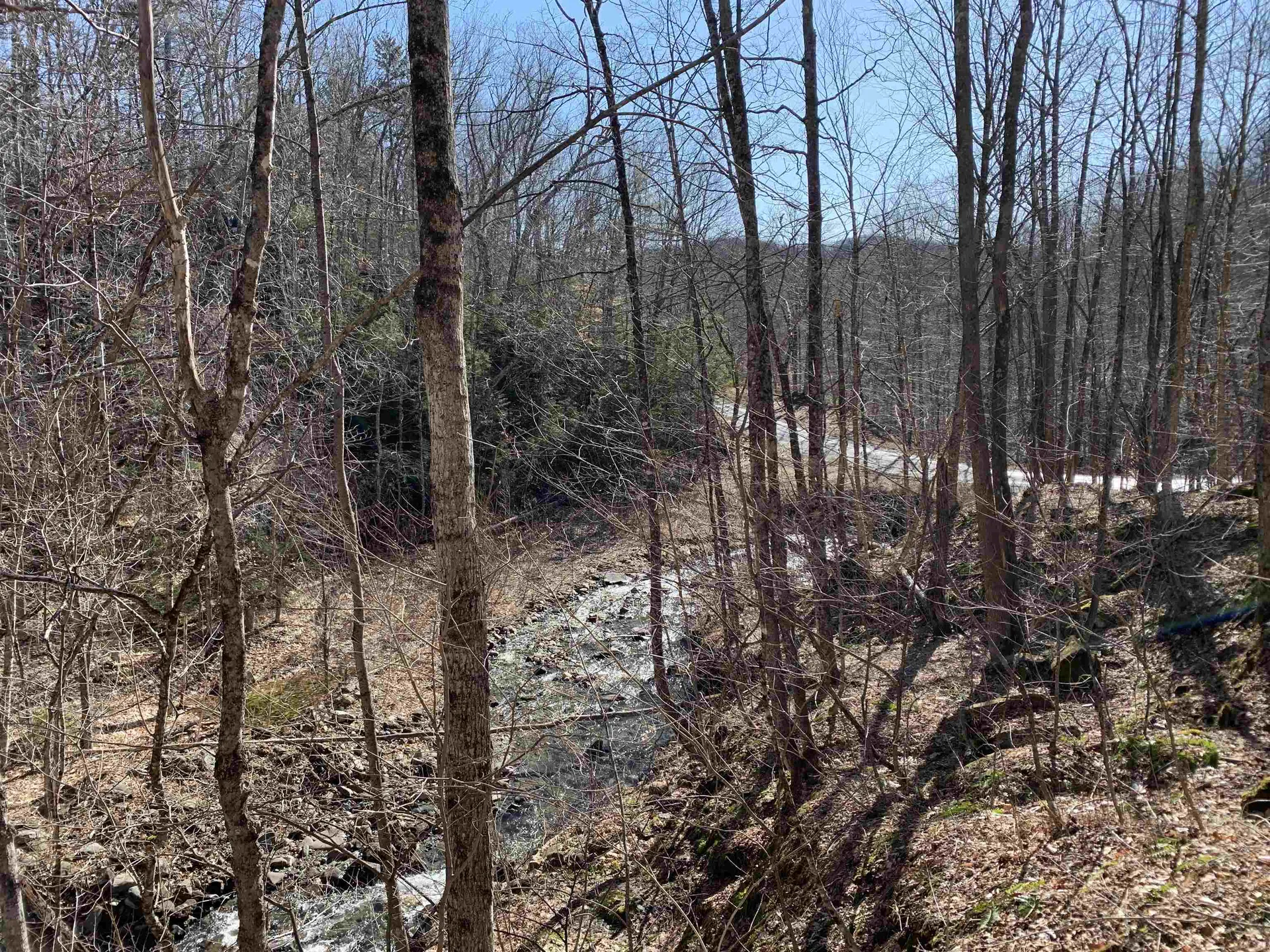 0000 Stone Chimney Road Reading VT 05062