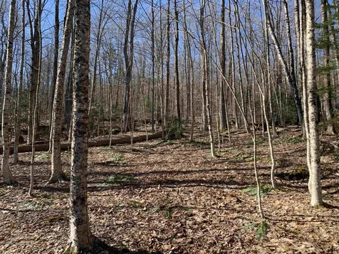 0000 Stone Chimney Road Reading VT 05062
