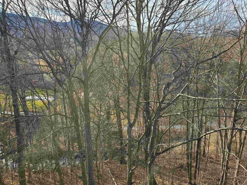 697 East Mountain Road Killington VT 05751