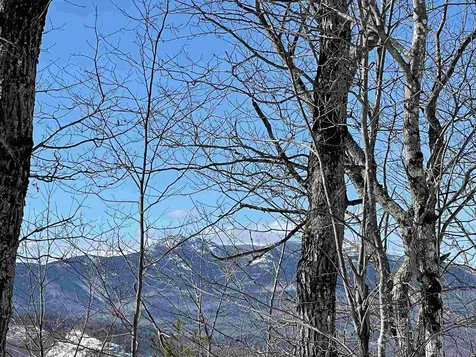 8 Presidential View Drive Madison NH 03849
