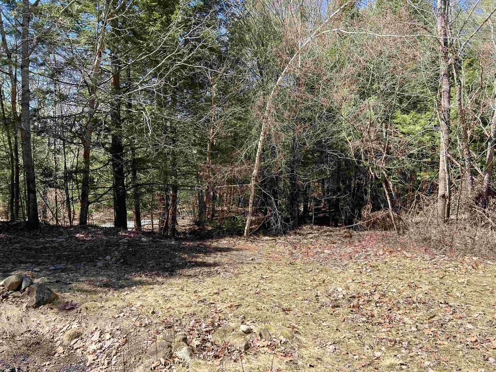 2560 Buffalo Road Rumney NH 03266