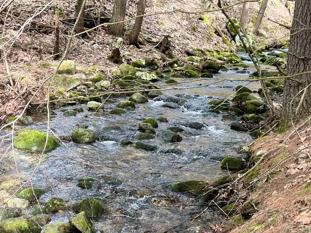 2560 Buffalo Road Rumney NH 03266