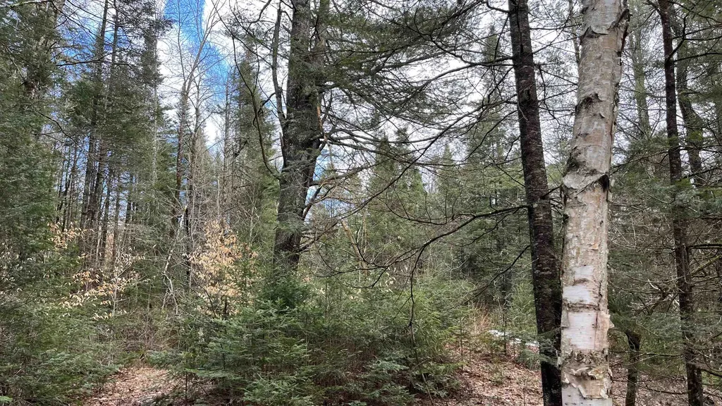 0 Route 155 Weston VT 05161