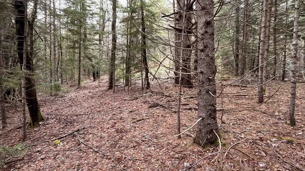 0 Route 155 Weston VT 05161