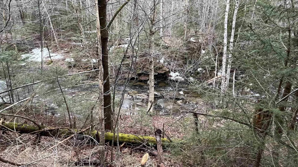 0 Route 155 Weston VT 05161