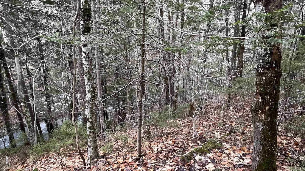 0 Route 155 Weston VT 05161