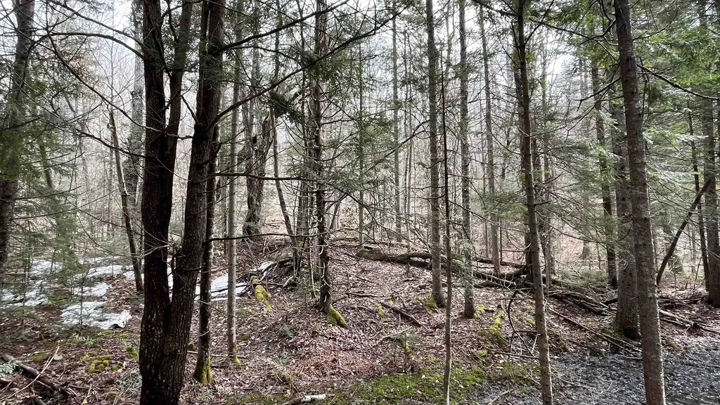 0 Route 155 Weston VT 05161