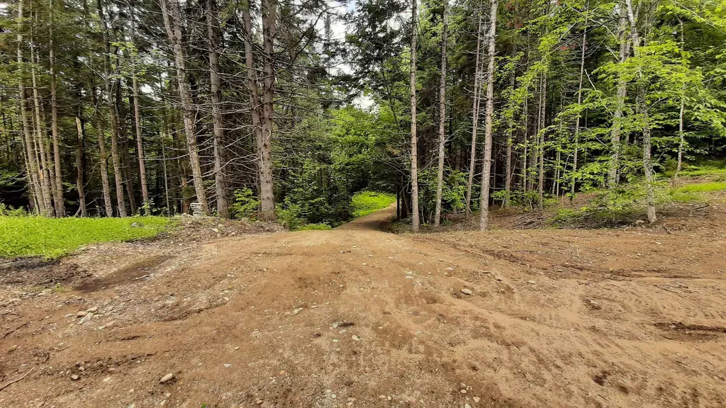 0 Route 155 Weston VT 05161