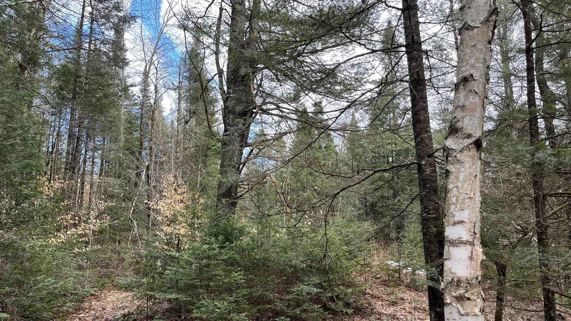 0 Route 155 Weston VT 05161