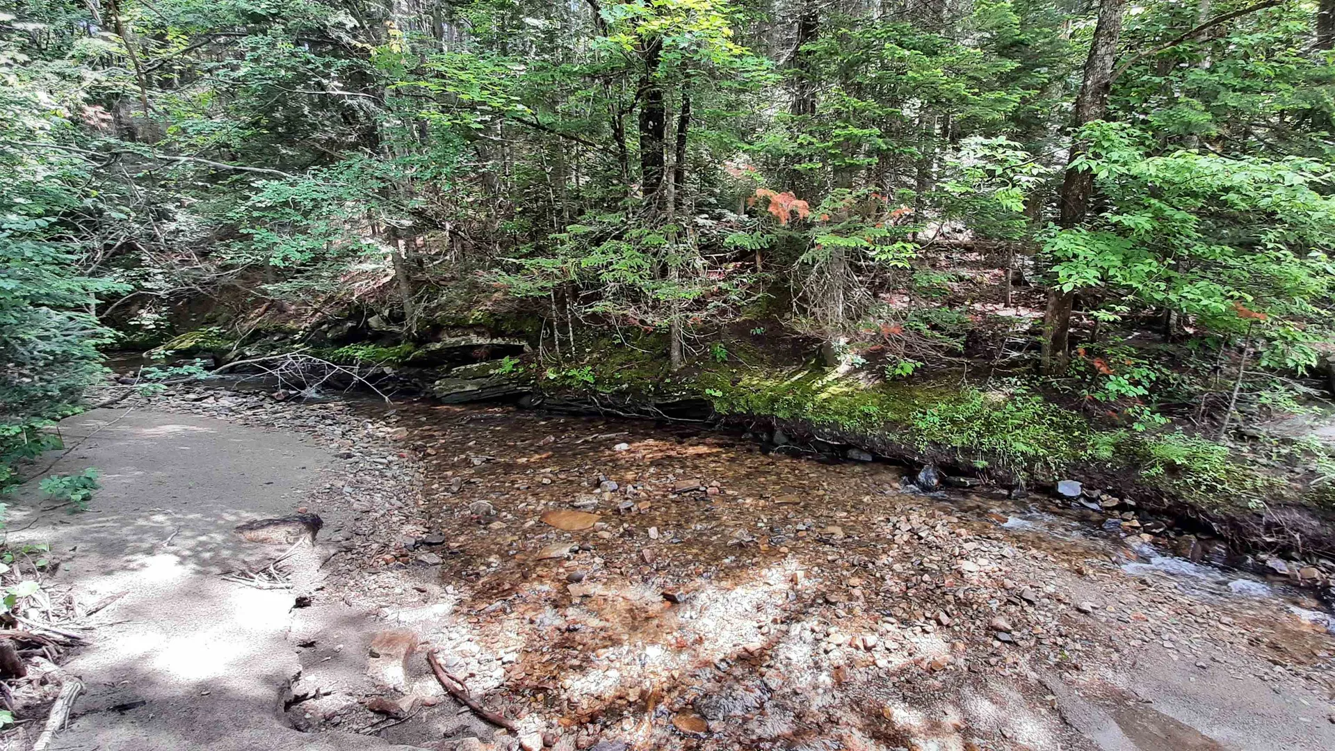 0 Route 155 Weston VT 05161