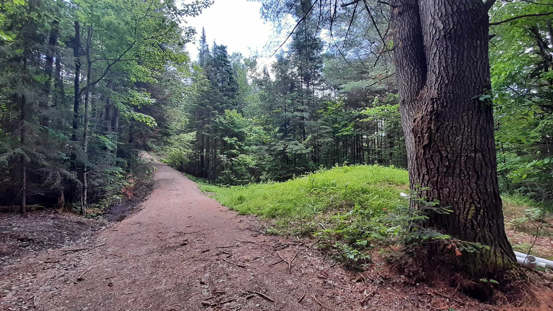 0 Route 155 Weston VT 05161