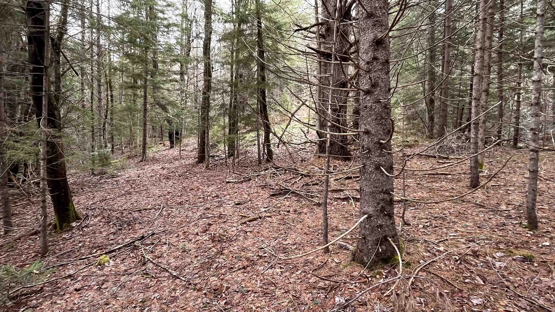 0 Route 155 Weston VT 05161