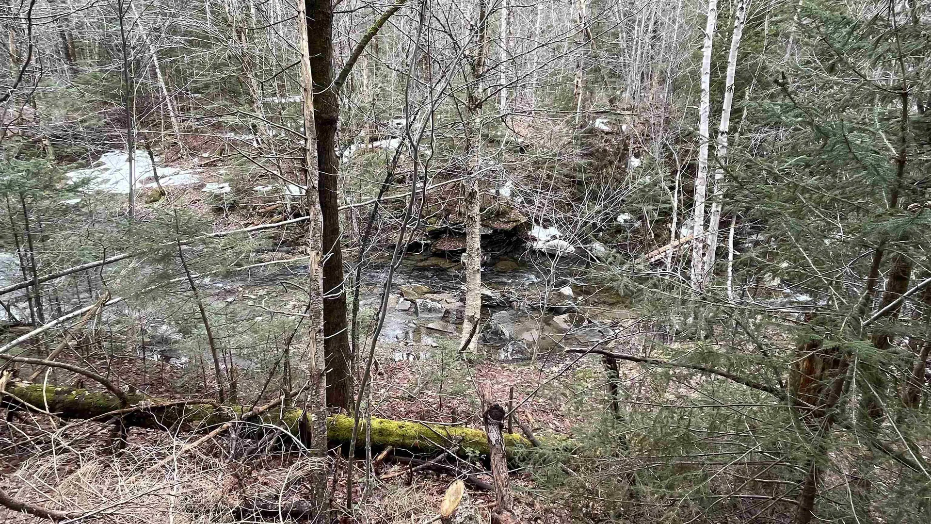 0 Route 155 Weston VT 05161